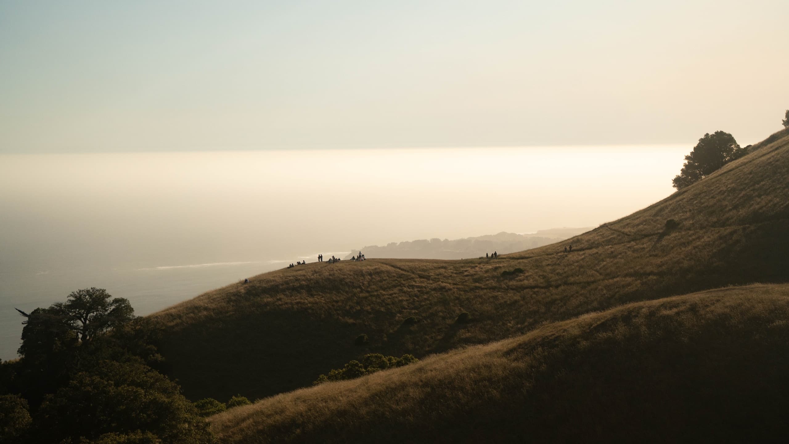 Fotografía de viaje en Mt. Tamalpais, California
